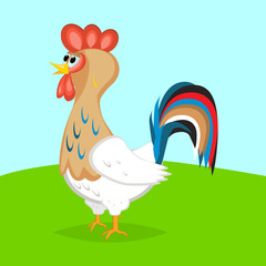 Rooster cute cock animal.