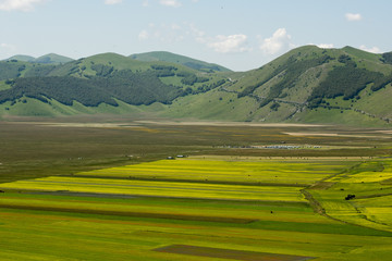 Castelluccio di Norcia