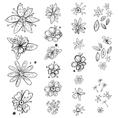 Vector hand drawn doodle black and white vintage flowers