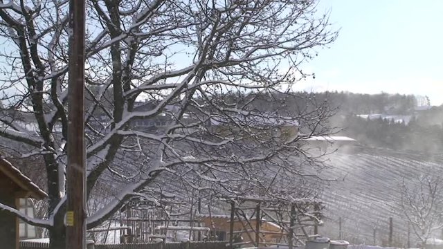 Der starke Wind wirbelt den Neuschnee durch die Winterlandschaft (horizontaler Kameraschwenk)
