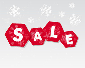 winter sale with snowflakes poster, vector