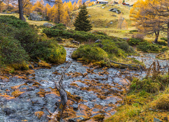 Ein Bach im Gebirge mit bunten Farben im Herbst