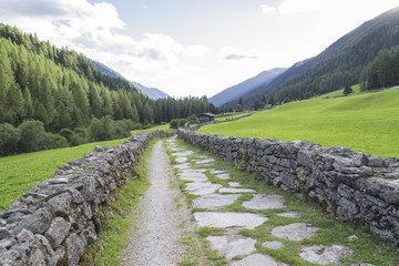 sentiero di montagna con muretto in pietra
