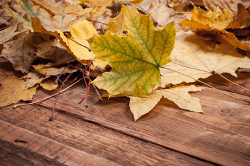 Autumn Leaves over wooden background.With copy space