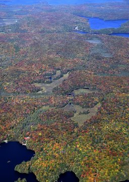 Aerial View Of A Golf Course Near Muskoka Beach Gravenhurst, Ontario Canada