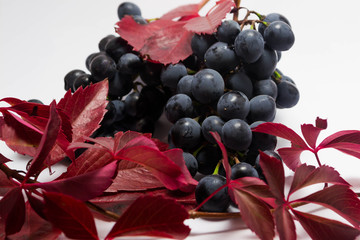 Ripe grapes 2