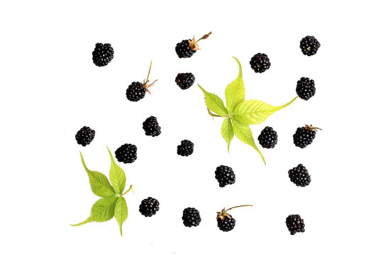 blackberry berry on a white background top view of a flat style summer fresh berries pattern