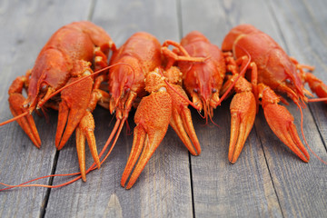 Boiled crawfish on a wooden background, close up