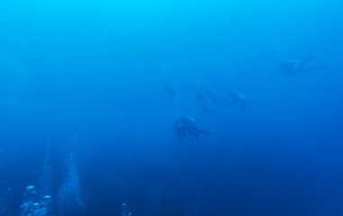 Underwater Background with Silhouettes of Diver