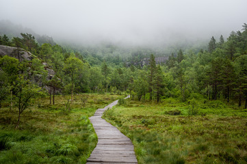 Fototapeta na wymiar Hiking route to famous Prekestolen rock