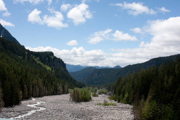 Fototapeta na wymiar Mount Rainier National Park View