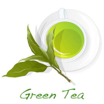 Cup of green tea with tea leaves