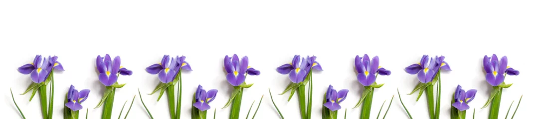 Crédence de cuisine en verre imprimé Iris iris bordeaux frais