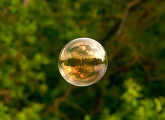 Soap bubble in flight on green background
