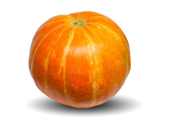 Orange pumpkin isolated on the white background