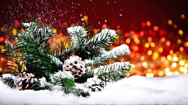 Tannenzweig im Schnee