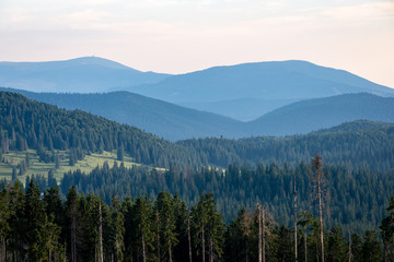 Fototapeta na wymiar View to the carpathian mountains from forest