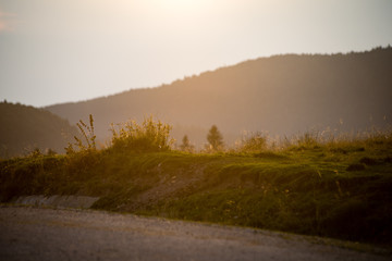 View to the carpathian mountains from forest