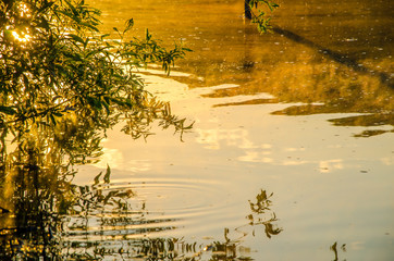 fog over the water .