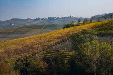 Fototapeta premium Panorama collinare con vigneti in autunno