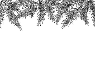 Fir tree hand drawn vector frame for winter and holiday decor. B