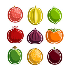 Vector Set colorful Fruits icons: lychee, starfruit, lime, pomegranate, fig, persimmon, feijoa, melon, passion; collection set of abstract simple fruit logo or icon, isolated on white background.