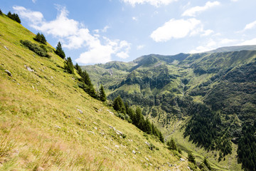Fototapeta na wymiar View to the carpathian mountains from the top