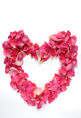 heart of pink rose petals with place for text inside. Isolated on white background 1