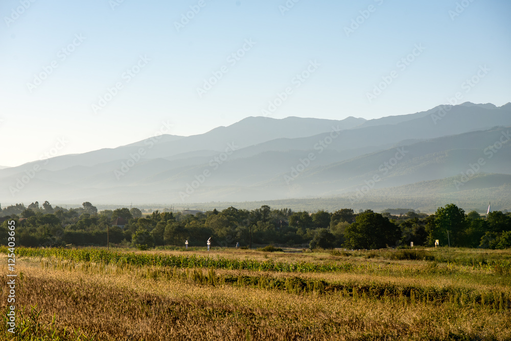 Wall mural View to the carpathian mountains from forest