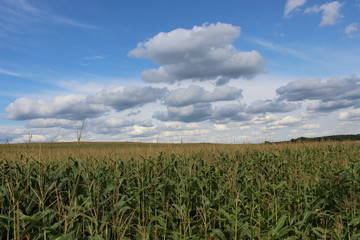 Genieße jeden Moment