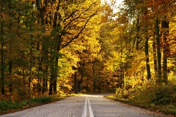 jesienna droga asfaltowa