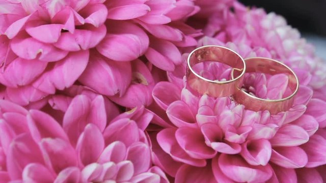 Wedding rings are on pink flowers, Wedding attributes, background