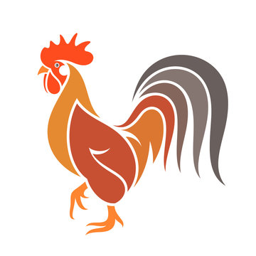 Abstract  rooster. Colorful bird on white background
