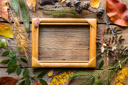 Composition of autumn leaves and branches with cones with a wooden frame and place for text