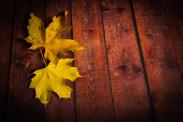 Obraz premium maple leaves on a wooden brown background