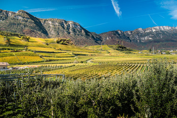 Herbstpanorama zum Mendelpass