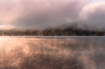 Obraz na płótnie Canvas Autumn landscape. Two swans on a alpine mountain lake early morning. Romantic sunrise and mysterious fog in Alps Austria 