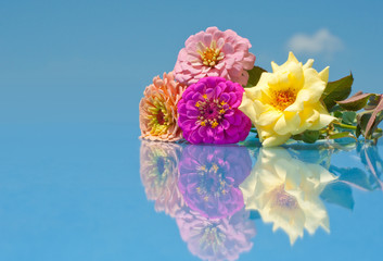 beautiful flowers with reflection against blue sky and cloud