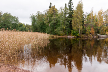 Fototapeta na wymiar Nature background with coastal reed and shining lake water