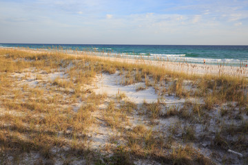 Fototapeta na wymiar Henderson State Park beach, Florida