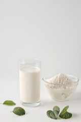 A glass of milk and a bowl of cottage cheese on a white background. are green leaves. A glass of fresh milk in a high key.