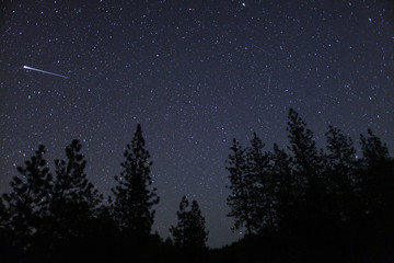 Eta Aquariids meteors streak across the night sky behind the tre - obrazy, fototapety, plakaty