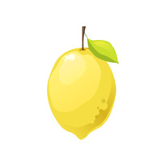 vector cartoon lemon on a white background