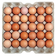 Brown eggs in a cardboard box isolate.