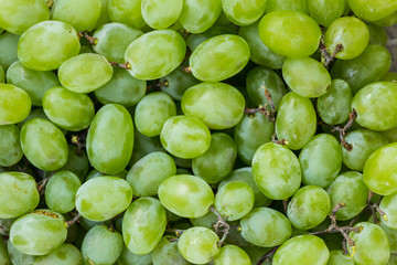 Sweet fresh grape. Grape background