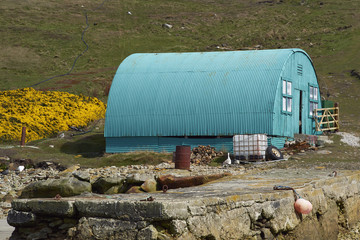 Colourfully painted buildings at the West Point Settlement on West Point Island in the Falkland Islands