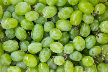 Sweet fresh grape. Grape background