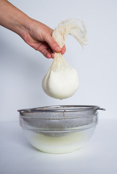 Fresh homemade cheese 