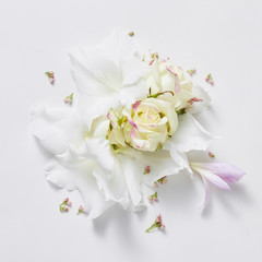 Obraz na płótnie Canvas white background from flowers