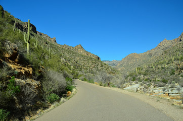 Fototapeta na wymiar Desert Panorama